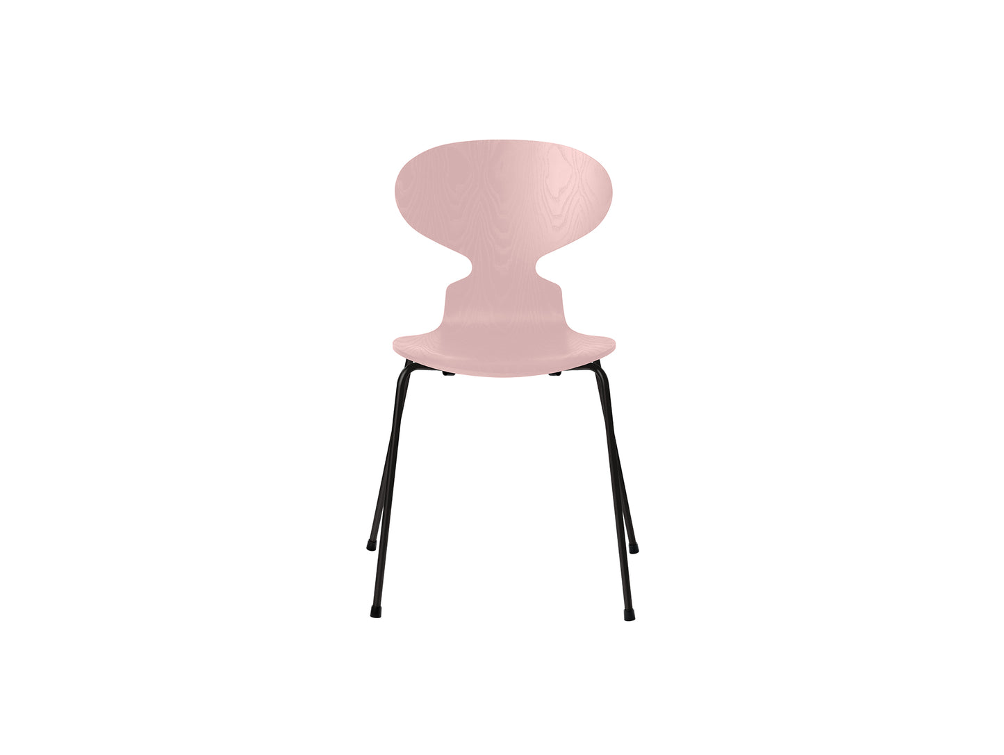 Ant Chair 4 Legs by Fritz Hansen - Coloured Ash Veneer Shell / Black Steel Base / Coloured Pale Rose