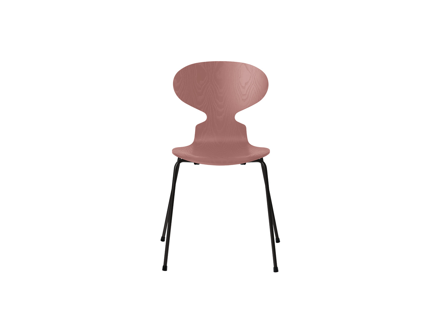 Ant Chair 4 Legs by Fritz Hansen - Coloured Ash Veneer Shell / Black Steel Base / Coloured Wild Rose