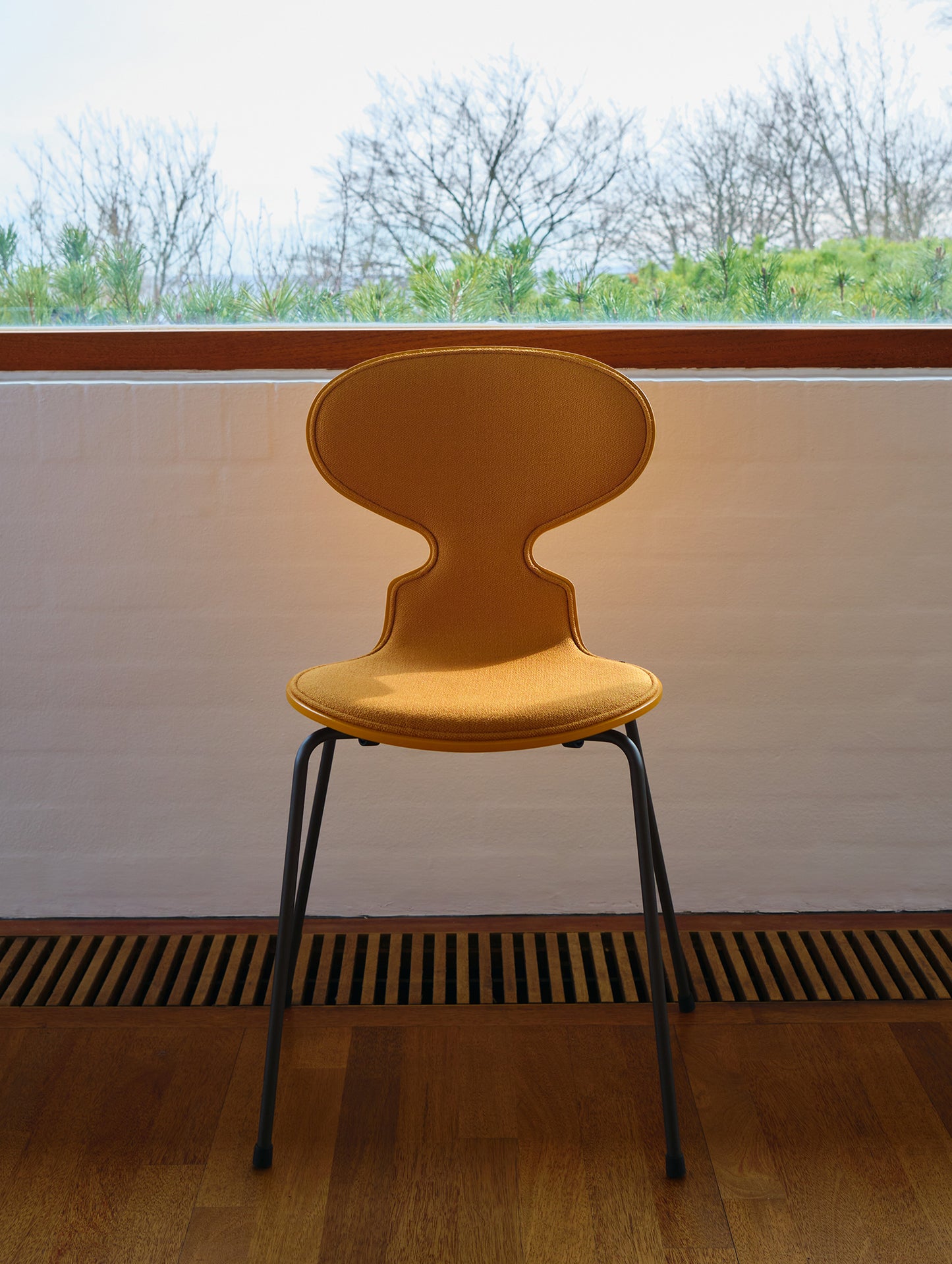 Burnt Yellow Lacquered Shell / Vidar 4 472