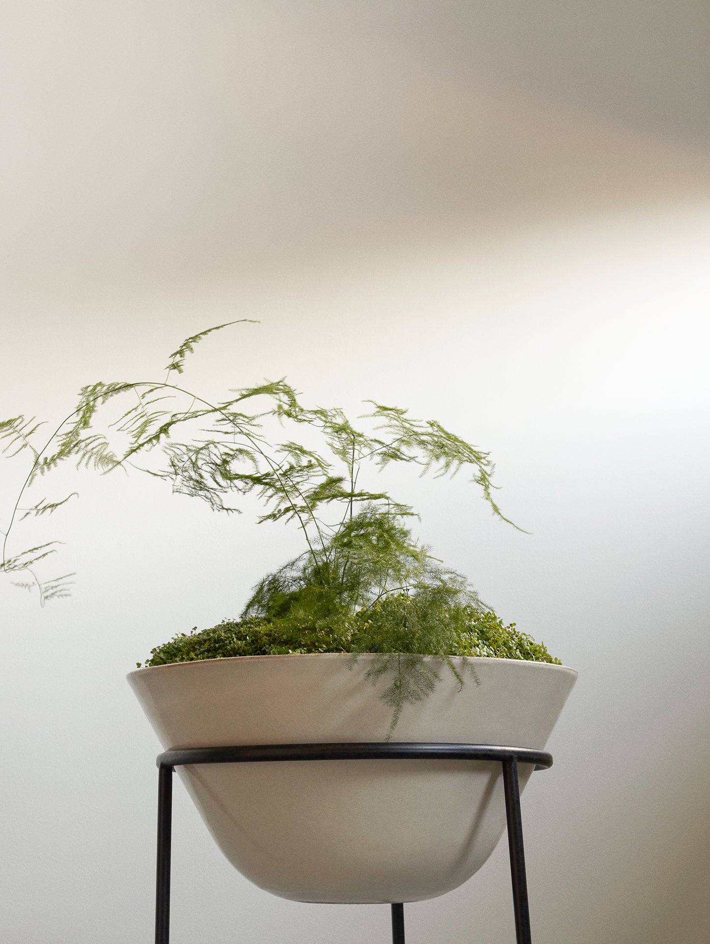 Daiza Planter by Audo Copenhagen