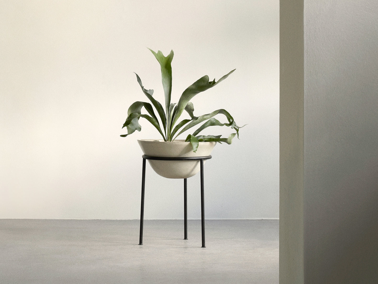 Daiza Planter by Audo Copenhagen - H45 / D35