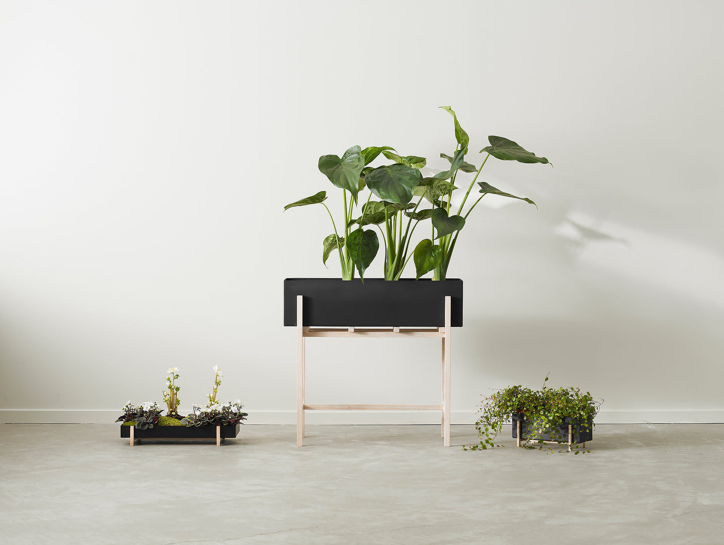 Botanic Stand by Design House Stockholm
