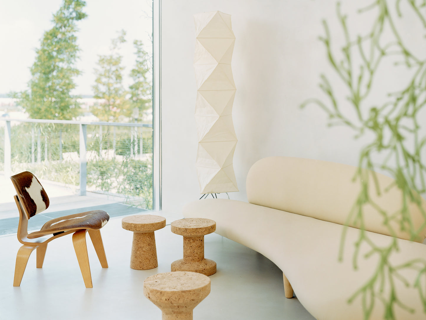 Jasper Morrison Cork Family
