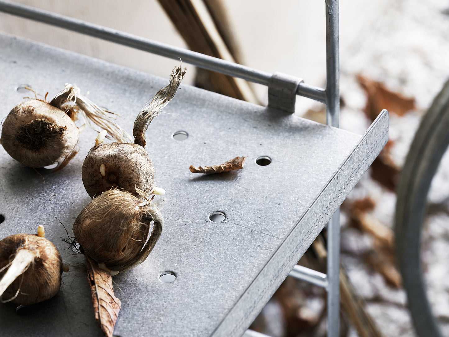 String Galvanised Shelves for outdoor use
