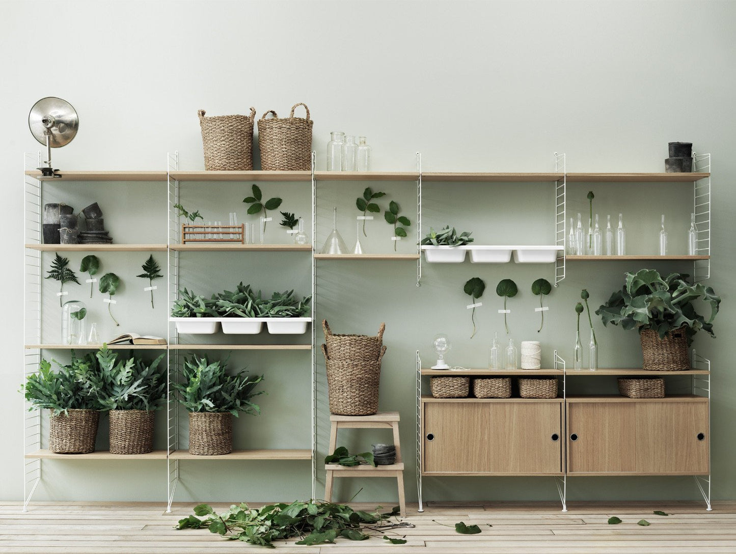String System Shelves - Oak