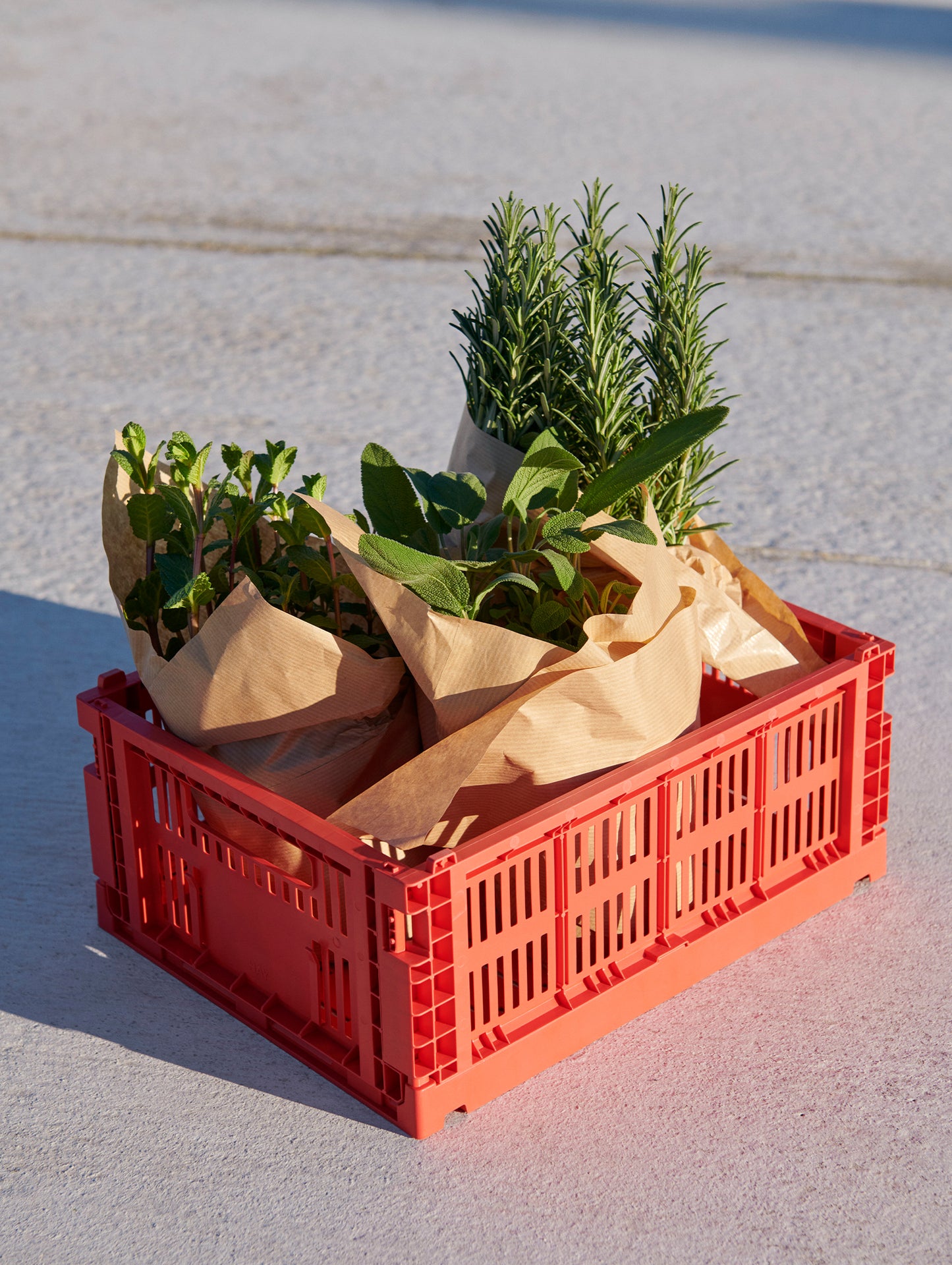 Colour Crate by HAY - Medium / Red