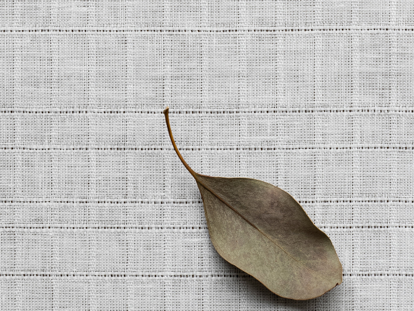 Cressida Napkin by Menu - Indigo