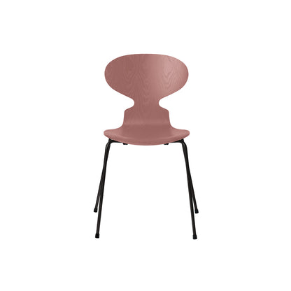 Ant Chair 4 Legs by Fritz Hansen - Coloured Ash Veneer Shell / Black Steel Base / Coloured Wild Rose