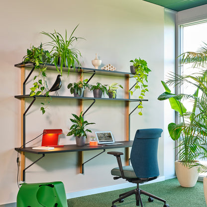 Kaari Wall Shelf with Desk by Artek - REB 010