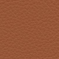 Swatch for 97 Cognac Leather (L20)