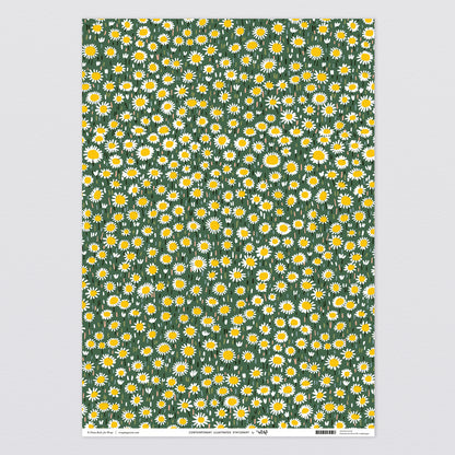 Daisies Wrapping Paper Paper by Wrap