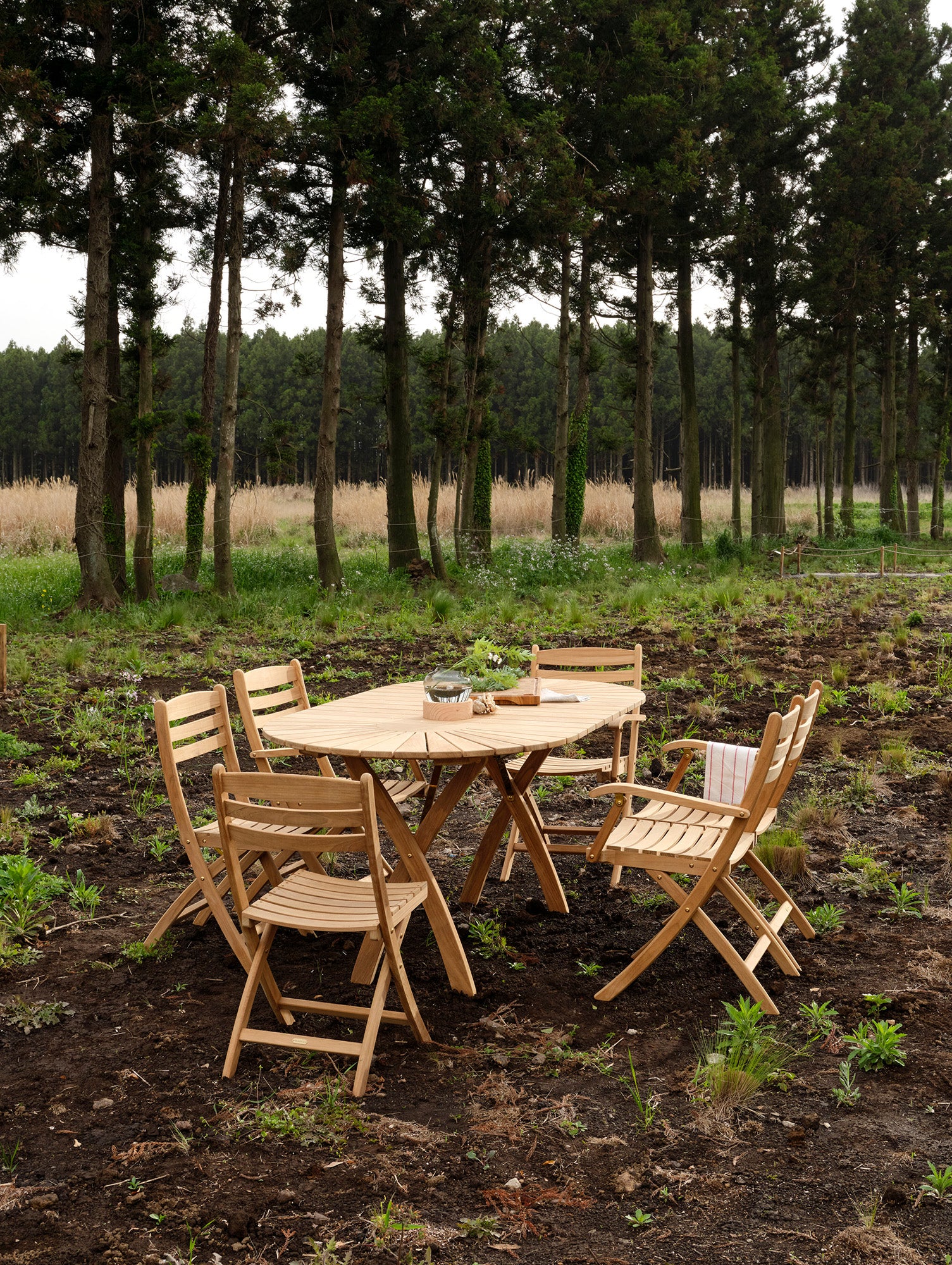 Selandia Chair by Fritz Hansen