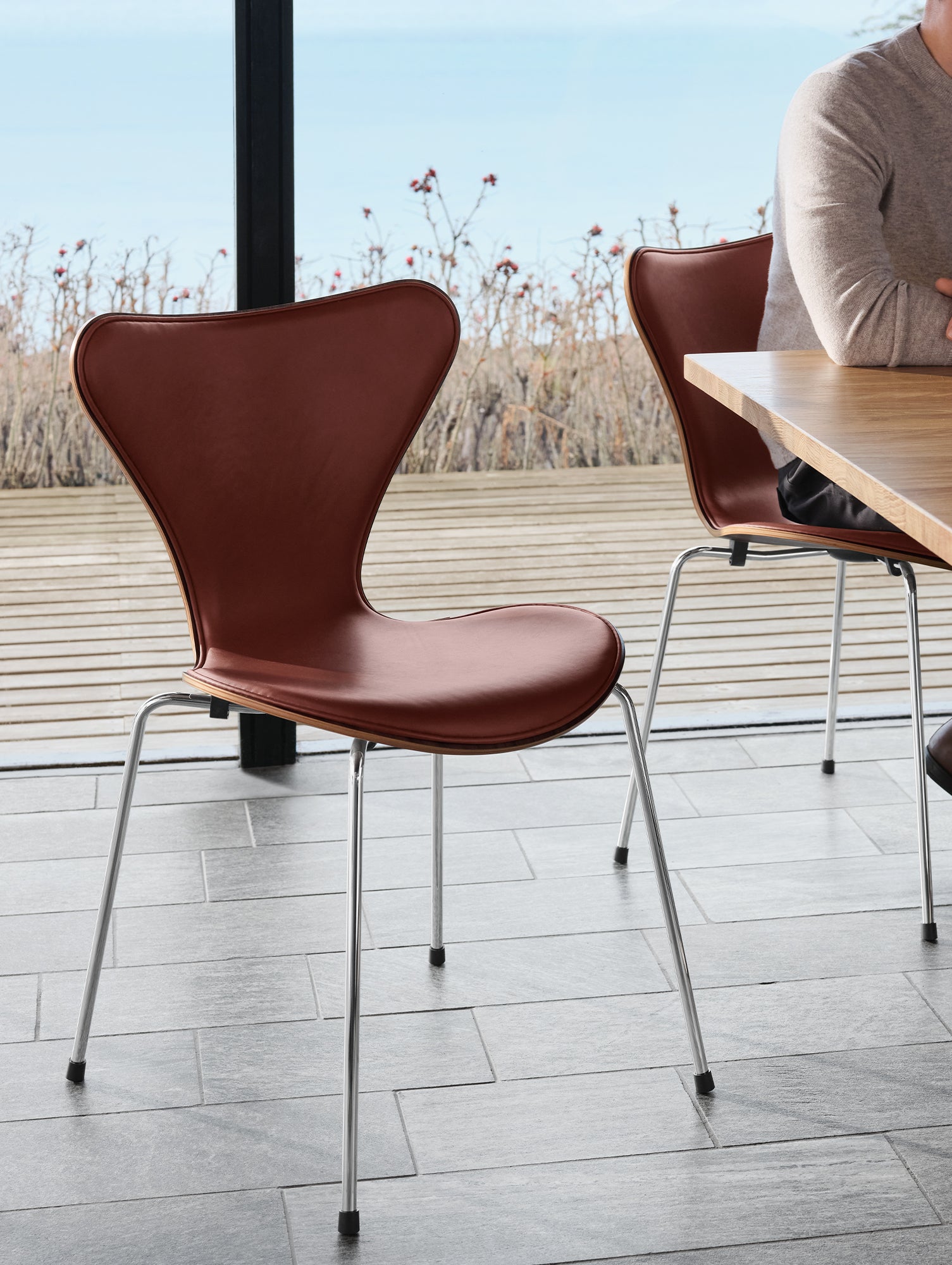 Series 7™ 3107 Dining Chair (Front Upholstered) by Fritz Hansen = Anniversary Edition / Front: Grace Chestnut Leather / Back: Clear Lacquered Walnut Veneer