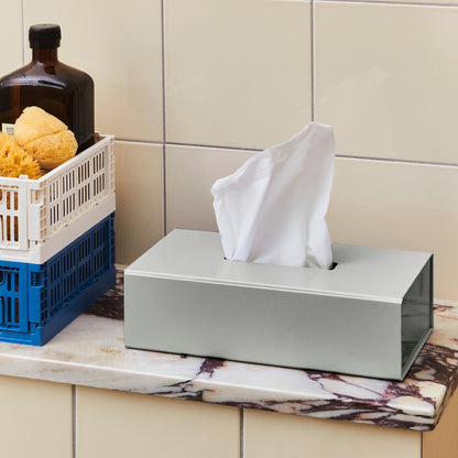 Colour Crate Mini - Set of 2 by HAY