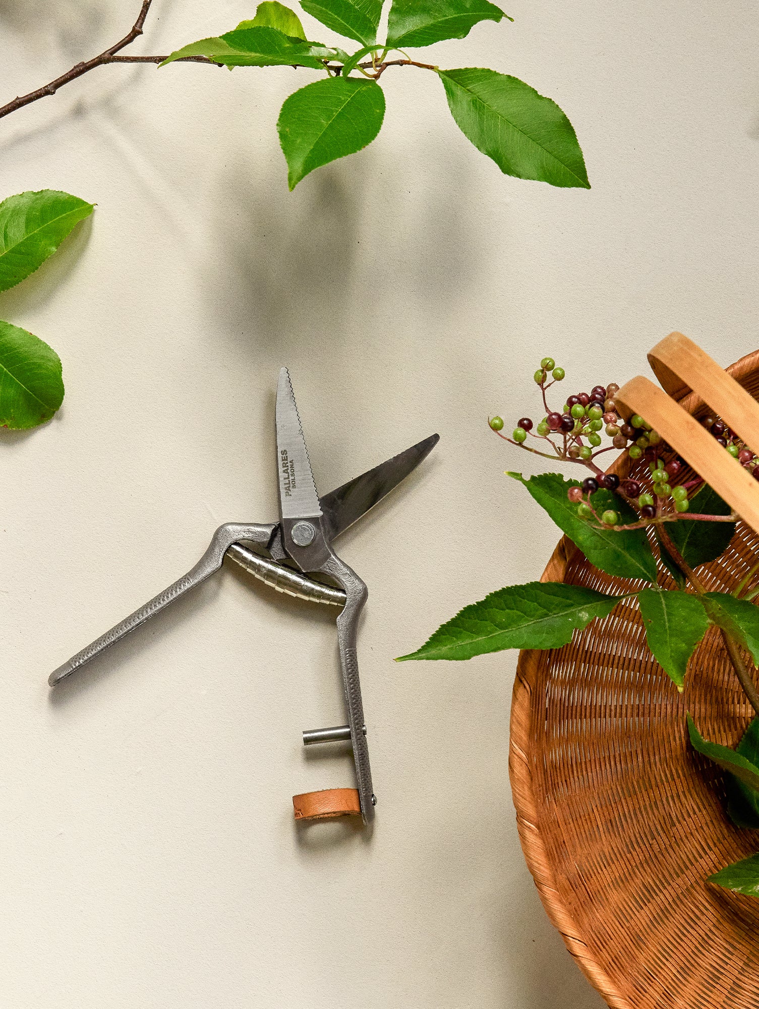 Pallarès × Audo Plant Shears by Audo Copenhagen