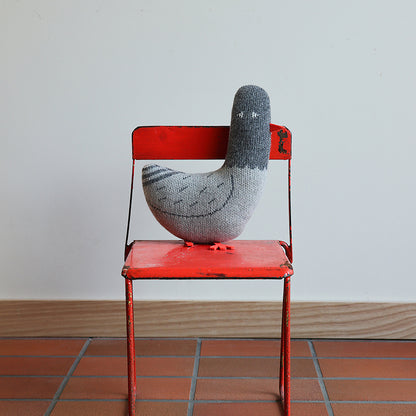 Paddy Pigeon
