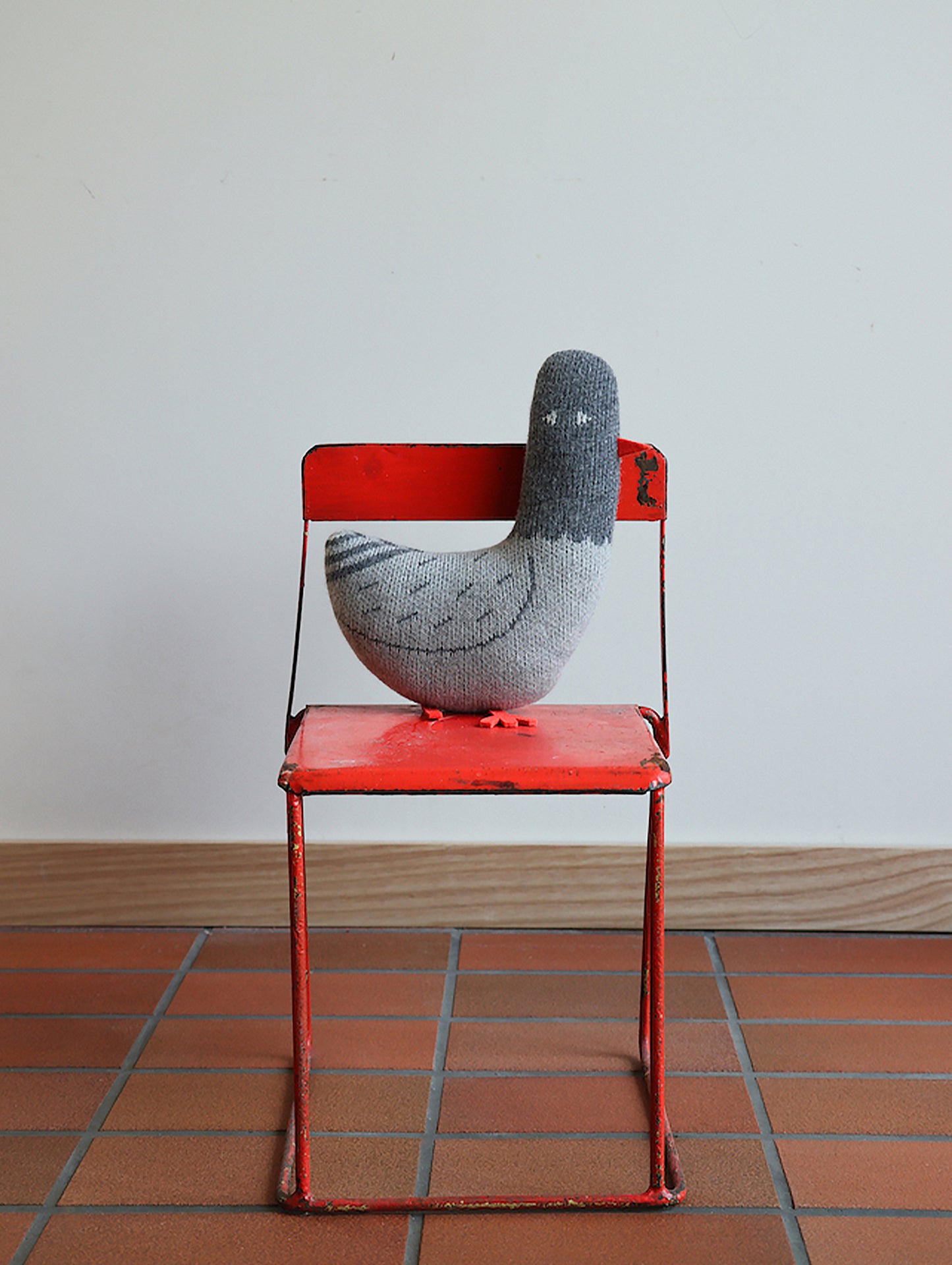 Paddy Pigeon