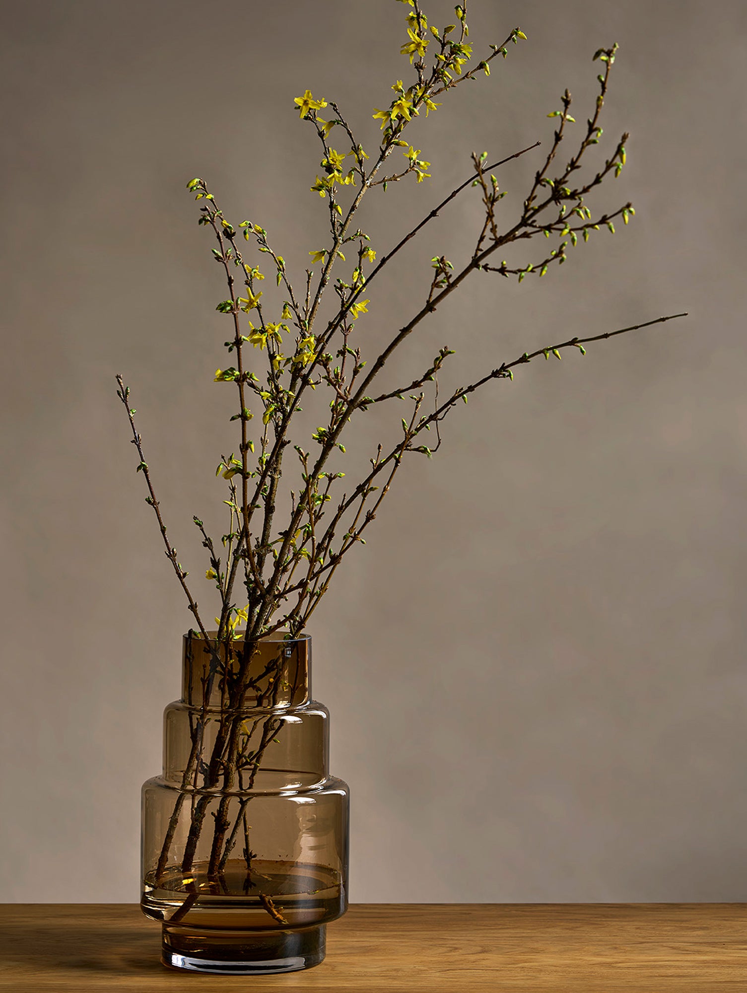 Hurricane No. 69 by Ro Collection - Sepia Brown