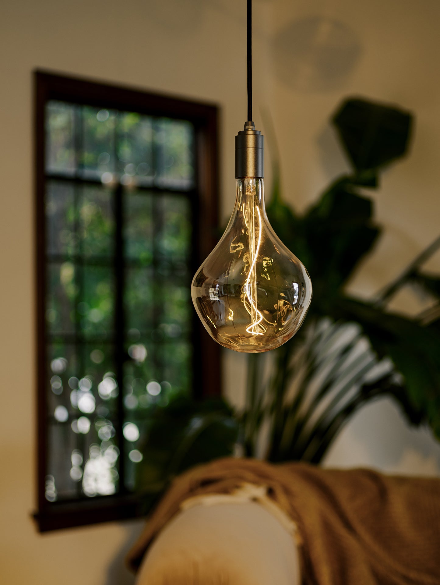 Voronoi II 3 Watt Tinted LED bulb by Tala