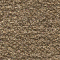 Swatch for Barnum Boucle 04 / Beige