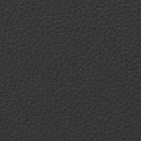 Swatch for Black Essential Leather