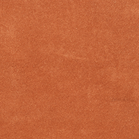 Swatch for Brown Clay Apple