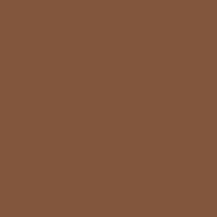 Swatch for Brown Wall Clock (Recycled)