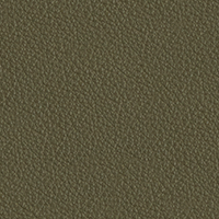 Swatch for Caper Green Grano Leather