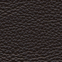 Swatch for Chestnut Easy Leather