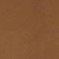 Swatch for Cognac Grace Leather