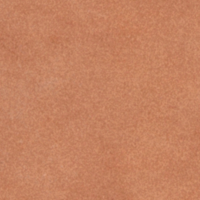 Swatch for Cognac Leather