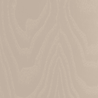 Swatch for Coloured Light Beige