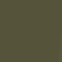 Swatch for High-Gloss Olive Green