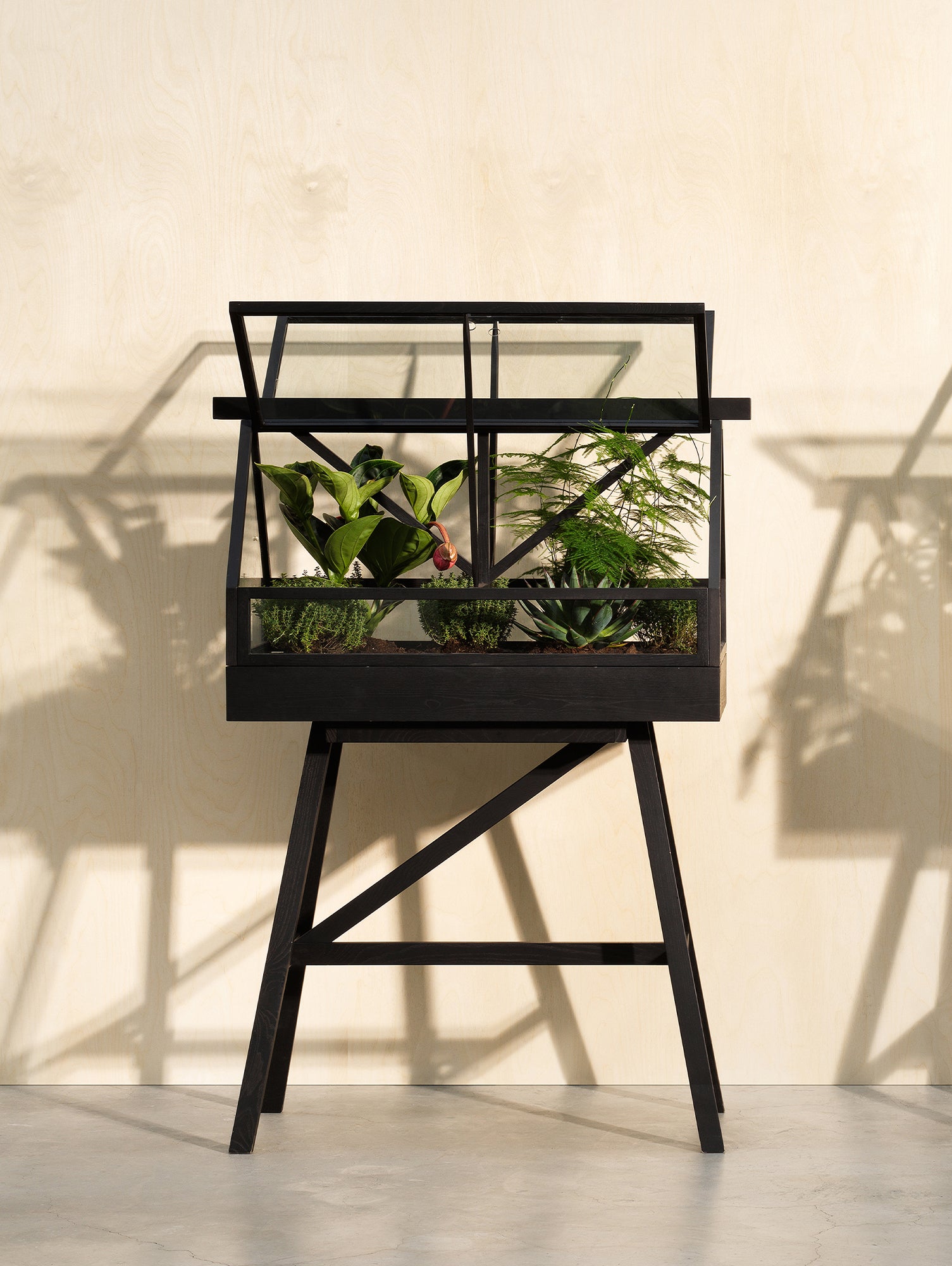 Greenhouse by Design House Stockholm - Black Ash