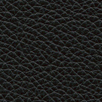 Swatch for Leather 66 Nero Seat / Leather 66 Nero Backrest (L20)