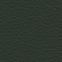 Swatch for Leather Premium F 59 Jade (L50)