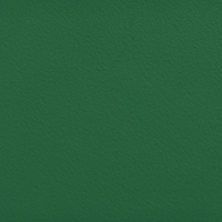 Swatch for Leek Green Steel