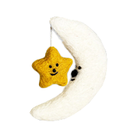 Swatch for Moon & Star