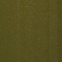 Swatch for Moss Green Rollo
