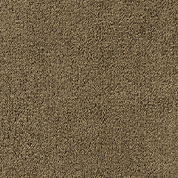Swatch for Olive / Cashmere