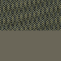 Swatch for Olive Green Lacquered Shell / Fiord 2 961