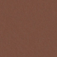 Swatch for Omaha Leather Cognac