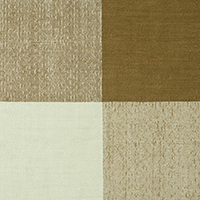 Swatch for Pale Green / Warm Brown