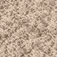 Swatch for Raw Bouclé Natural