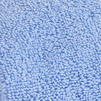 Swatch for Sky Blue Mono