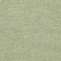 Swatch for Tea Green Apple