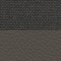 Swatch for Umbra Grey Premium F Leather / Plano Dark Grey (L50)