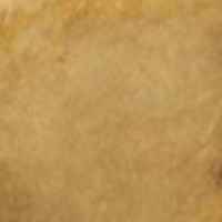 Swatch for Unlacquered Brass