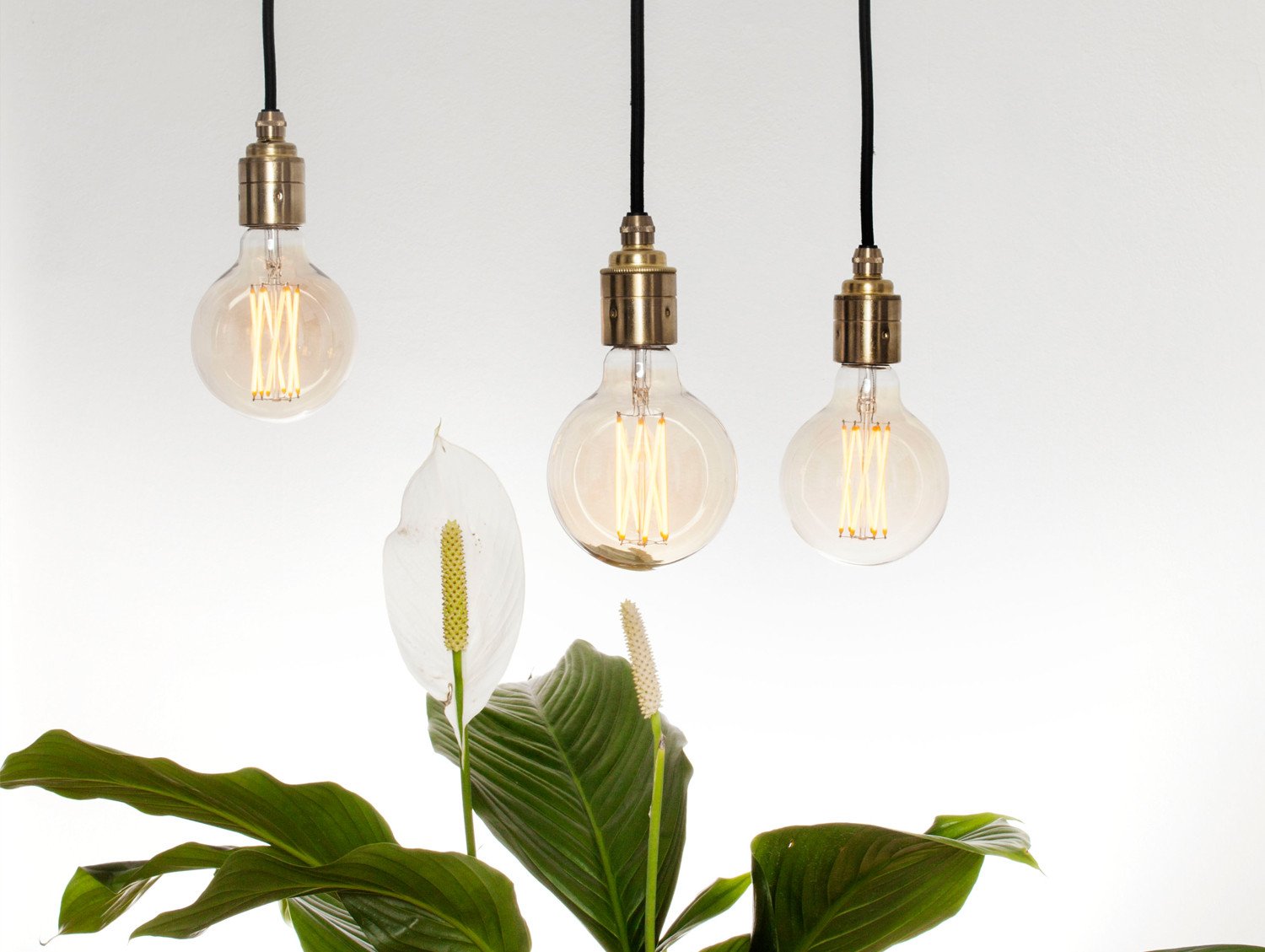 Elva 6 Watt Tinted LED bulb by Tala